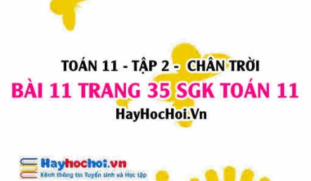 Bài 11 trang 35 Toán 11 tập 2 Chân trời sáng tạo